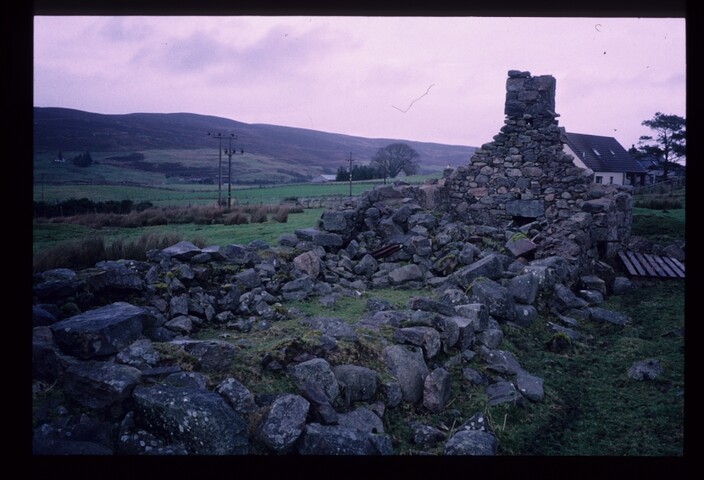 6240.jpg