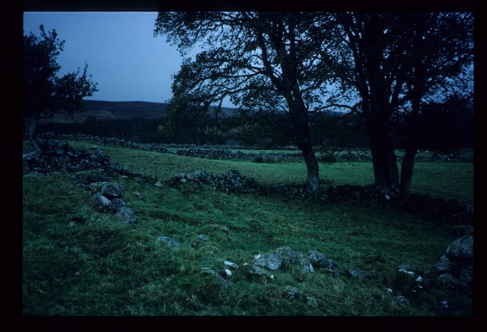 6244.jpg