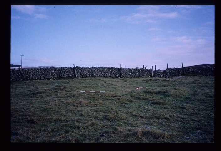 6265.jpg