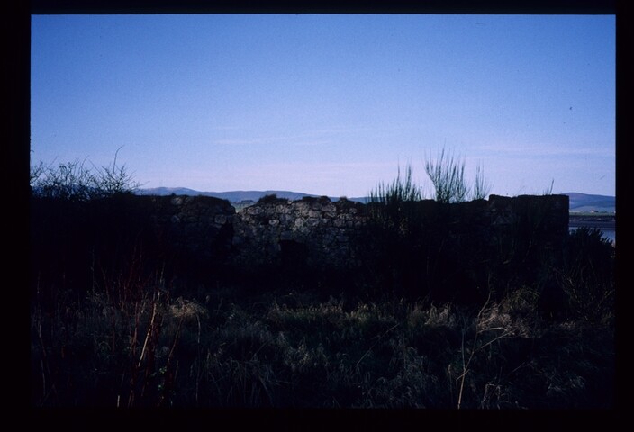 6294.jpg