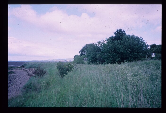 6300.jpg