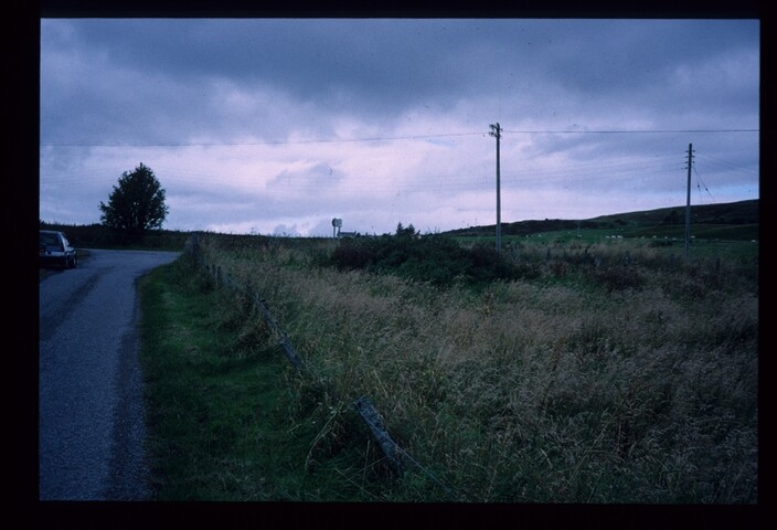 6301.jpg