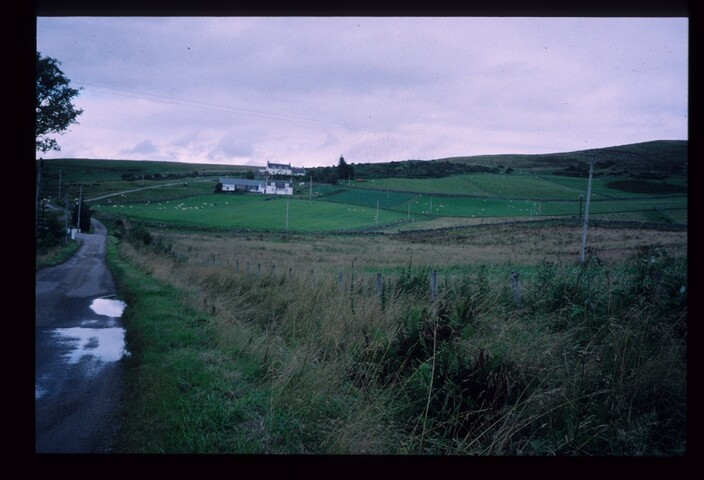 6304.jpg