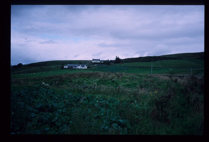 6305.jpg