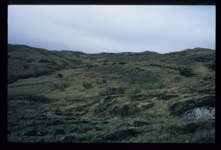 6325.jpg