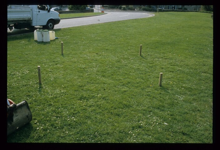 6340.jpg