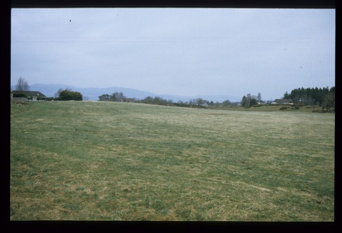 6357.jpg