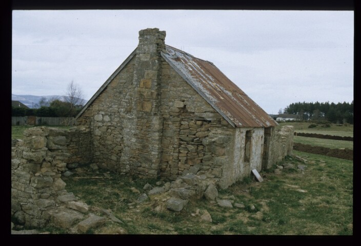 6373.jpg