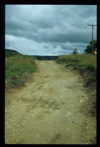 7245.jpg