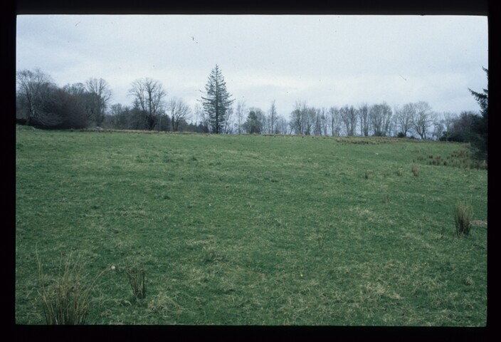 7583.jpg