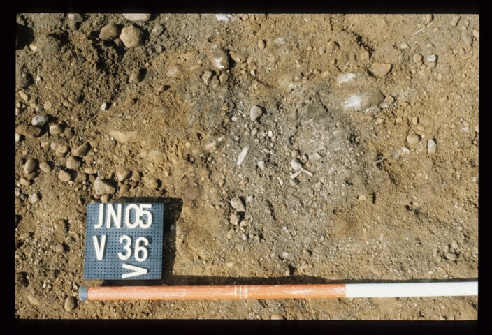 7642.jpg