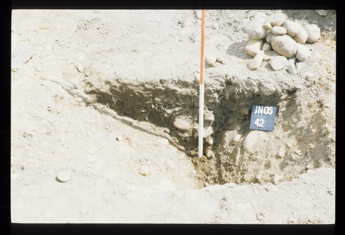 7654.jpg