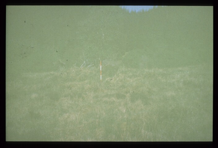 7749.jpg