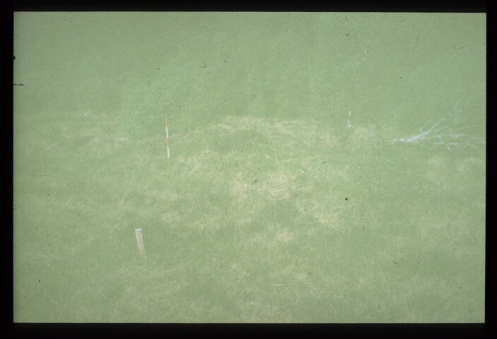 7750.jpg