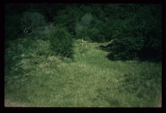 7785.jpg