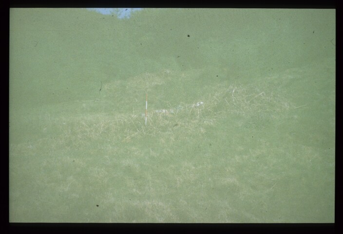 7790.jpg