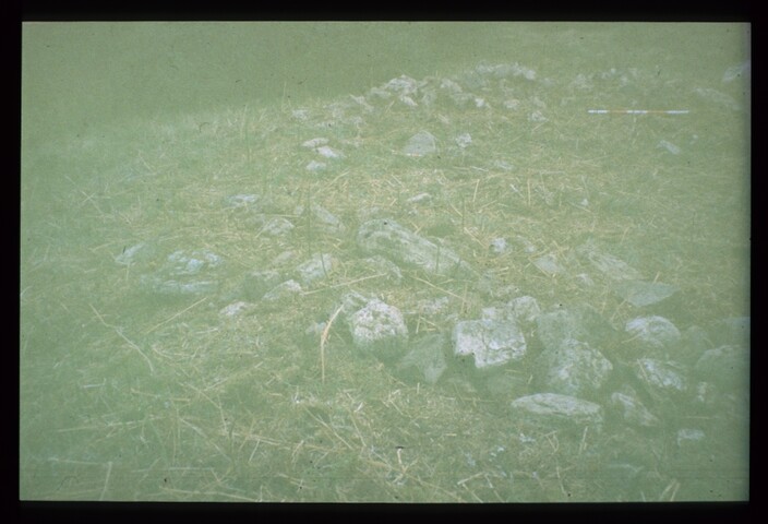 7800.jpg