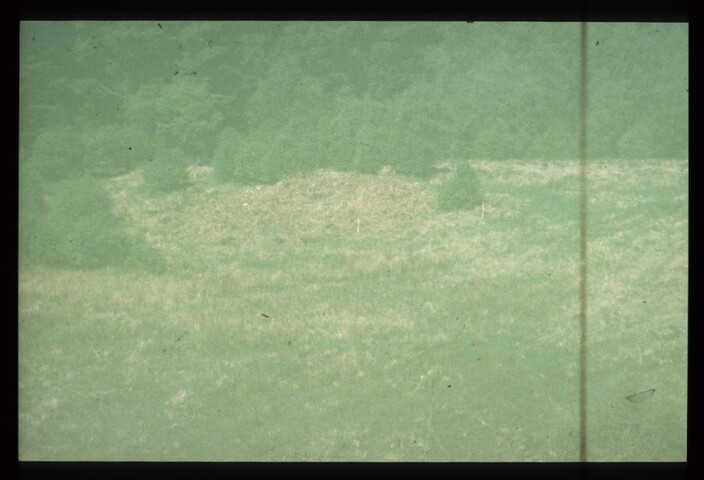 7811.jpg