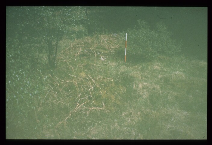 7814.jpg