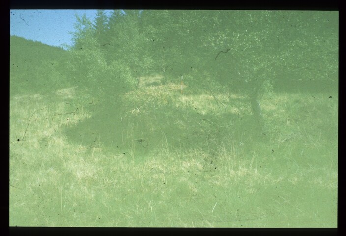 7815.jpg