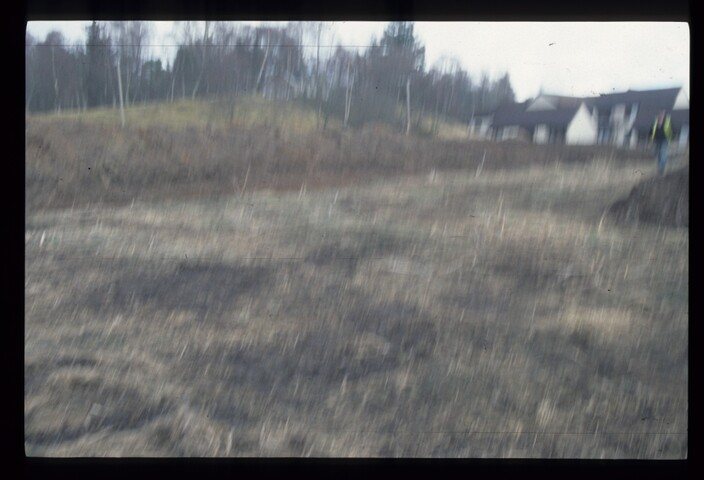 11904.jpg