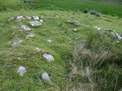 MHG56810_DSC04247.JPG