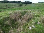 MHG56810_DSC04249.JPG