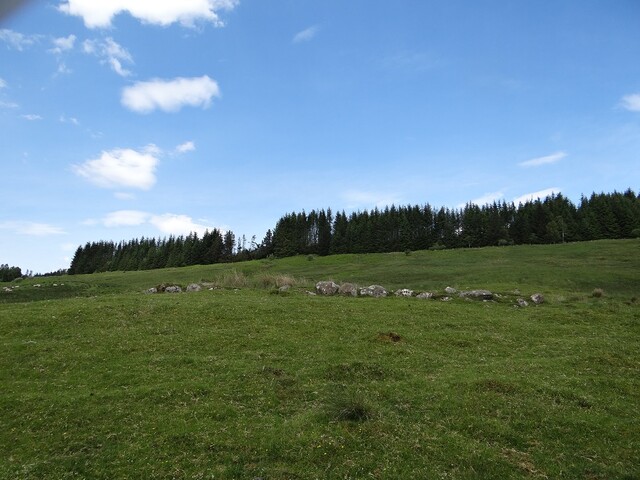 MHG56810_DSC04251.JPG