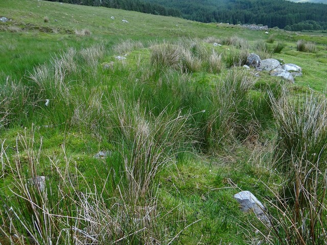 MHG56810_DSC04255.JPG