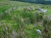 MHG56810_DSC04255.JPG