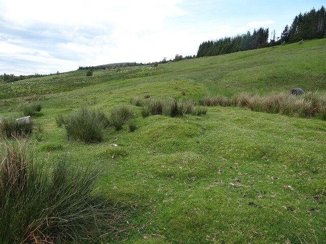MHG56810_DSC04256.JPG