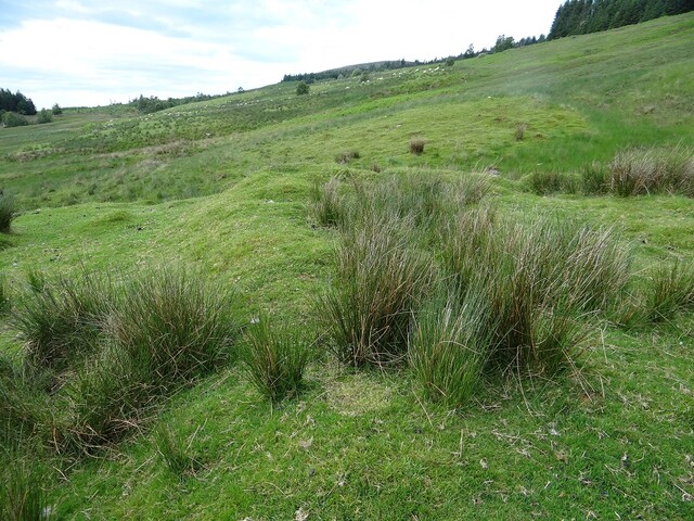 MHG56810_DSC04257.JPG