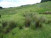 MHG56810_DSC04257.JPG
