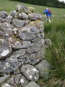 MHG56810_DSC04262.JPG