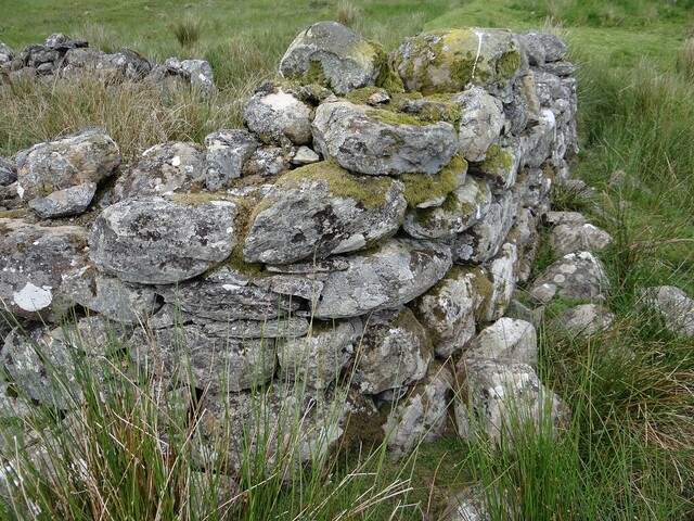 MHG56810_DSC04264.JPG