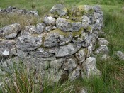 MHG56810_DSC04264.JPG