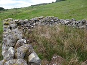 MHG56810_DSC04265.JPG