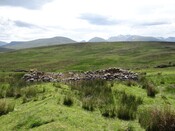 MHG56810_DSC04273.JPG