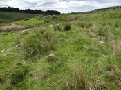 MHG56810_DSC04280.JPG