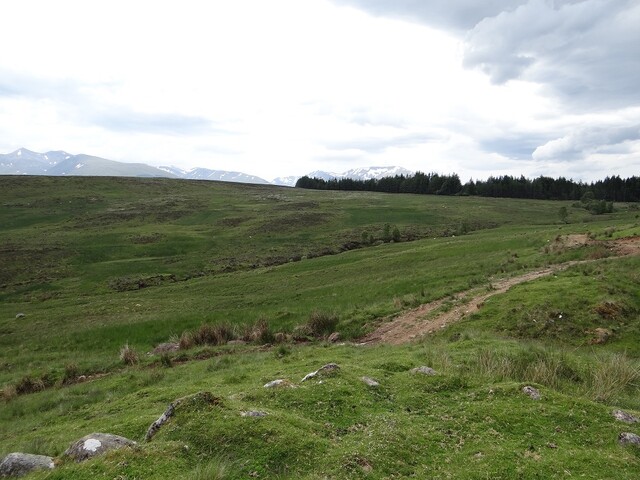 MHG56810_DSC04285.JPG