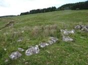 MHG56810_DSC04287.JPG