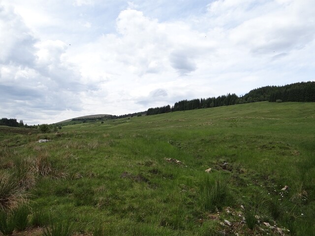 MHG56810_DSC04292.JPG