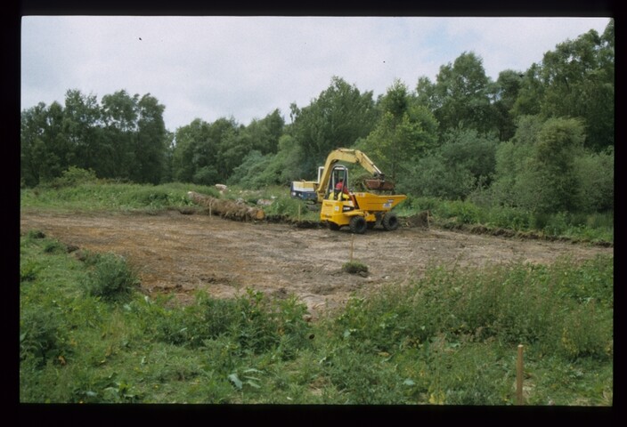 11956.jpg