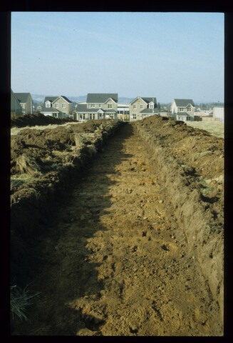 11967.jpg