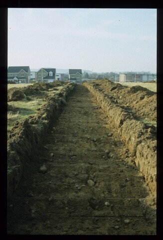 11971.jpg