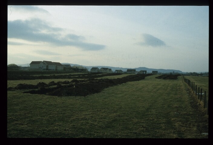 11974.jpg