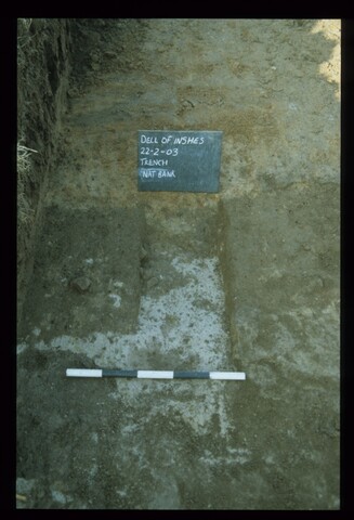 11976.jpg