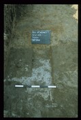 11976.jpg