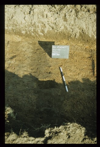 11978.jpg