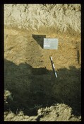 11978.jpg